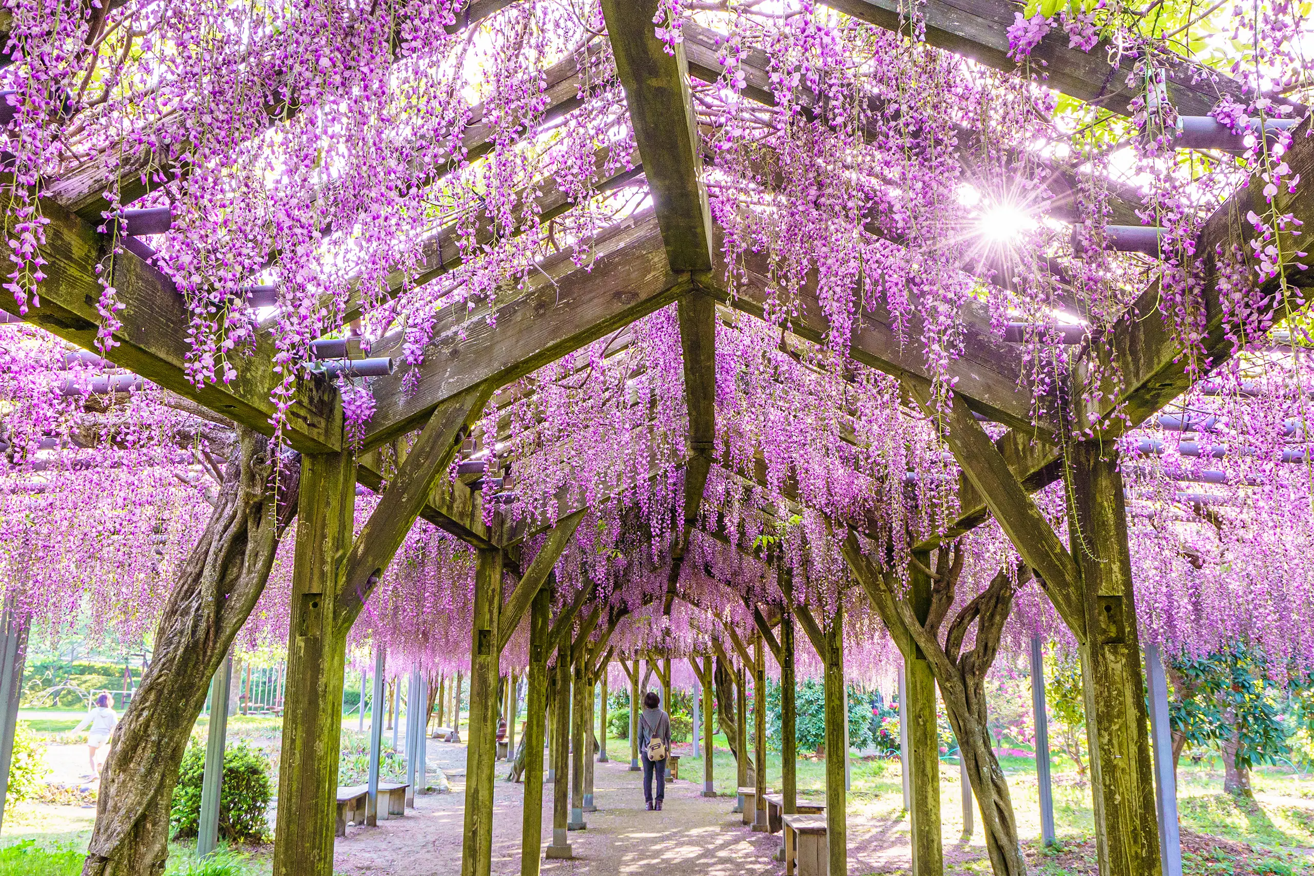 大紀町：野原農村公園